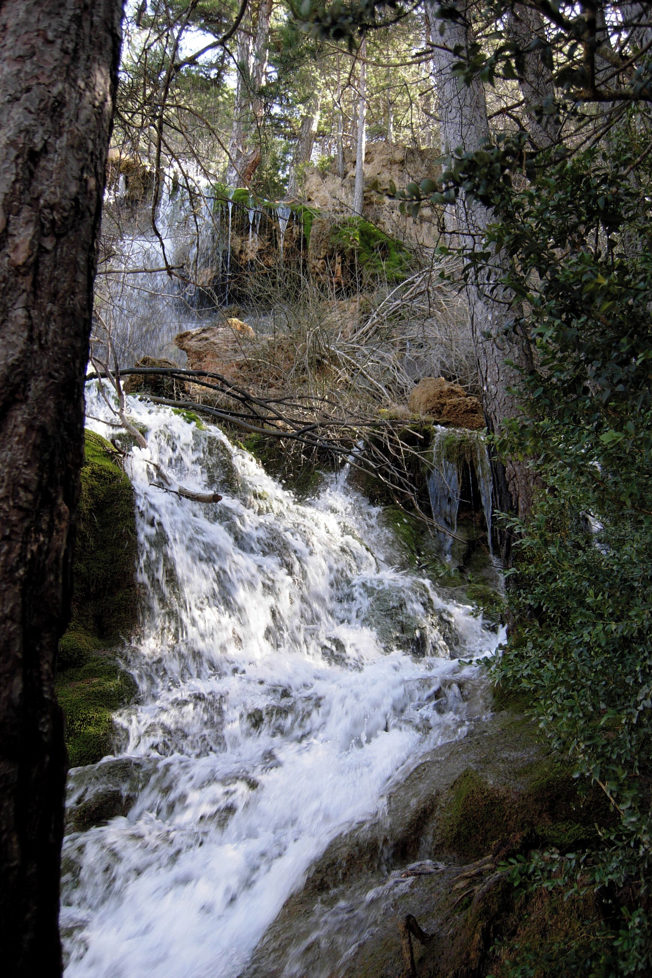 A waterfall in a forested area with moss-covered rocks and trees.
