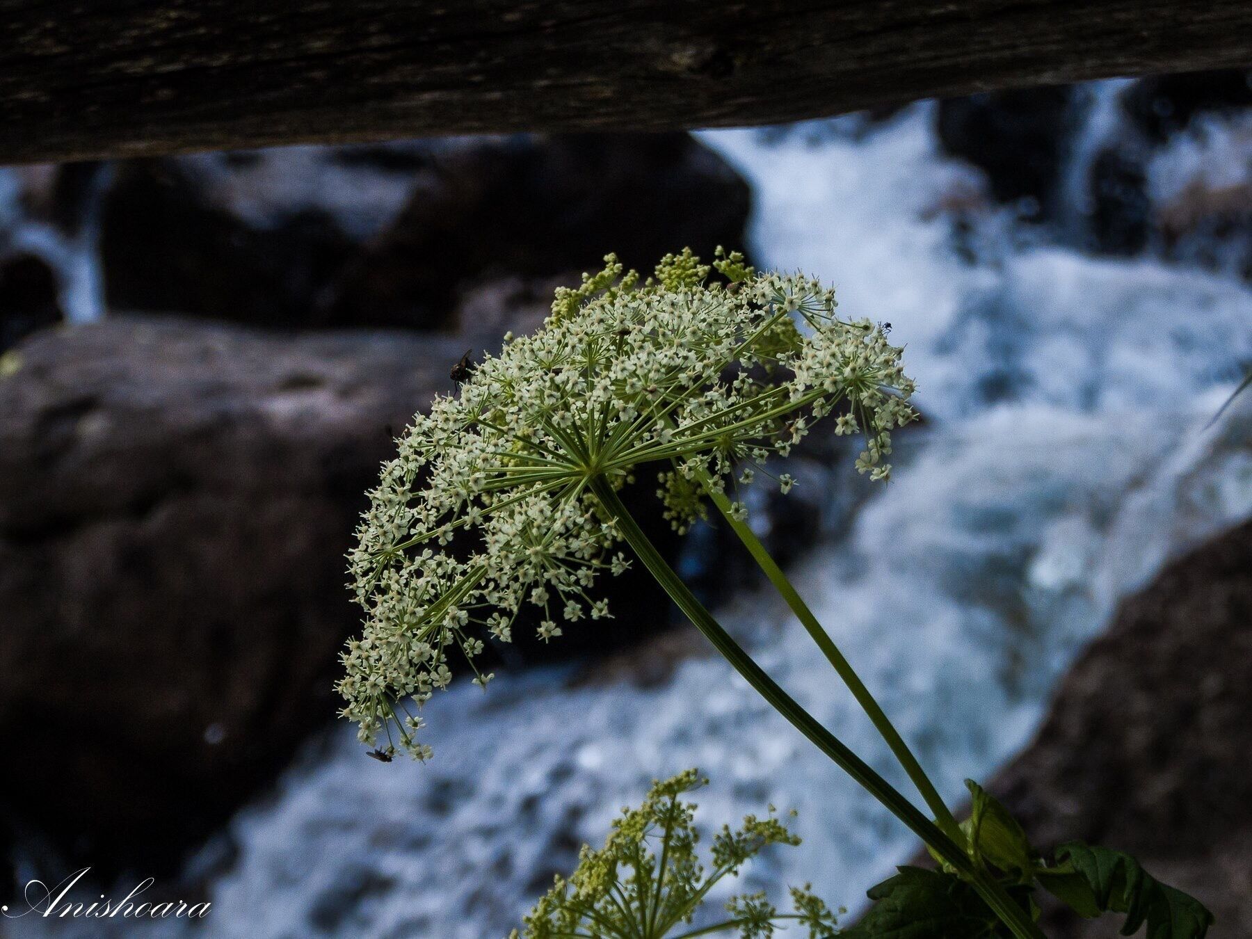 "Ratera" waterfall in Estany Sant Maurici
