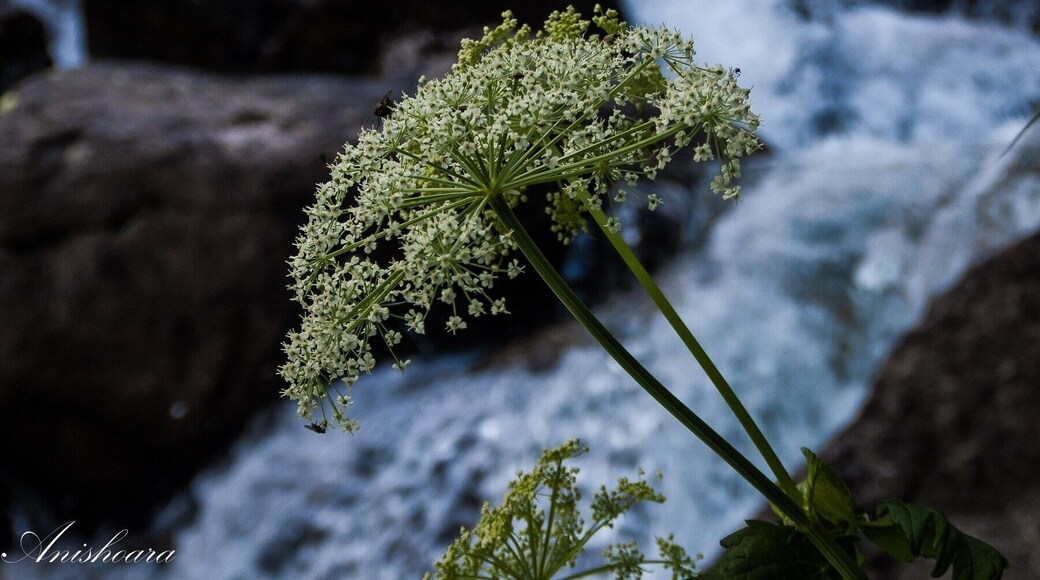 "Ratera" waterfall in Estany Sant Maurici