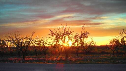 Posta de sol, prop del Vilosell