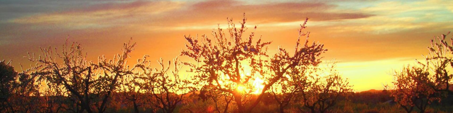 Posta de sol, prop del Vilosell