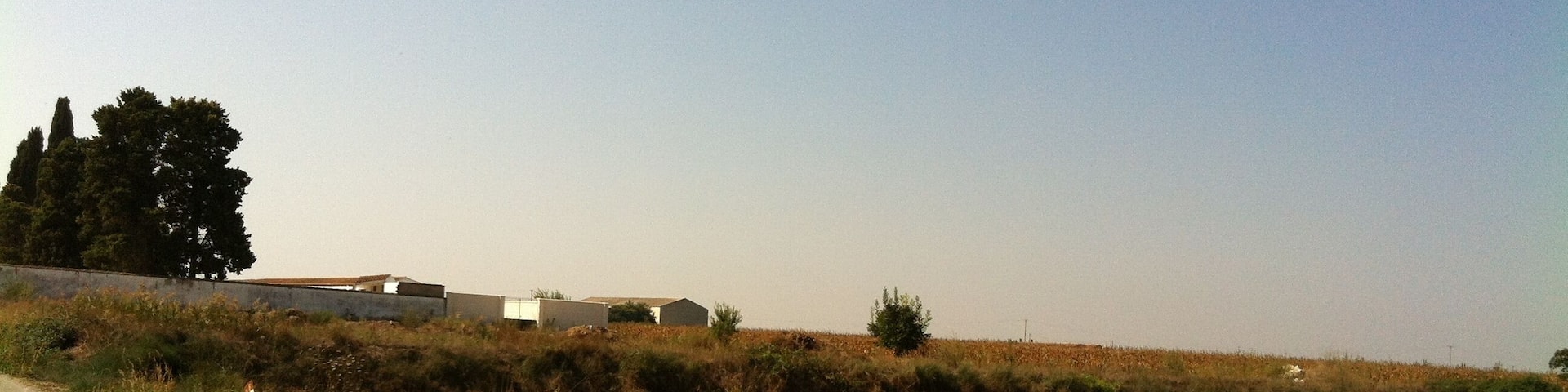 Cementiri (Vilanova de Bellpuig)