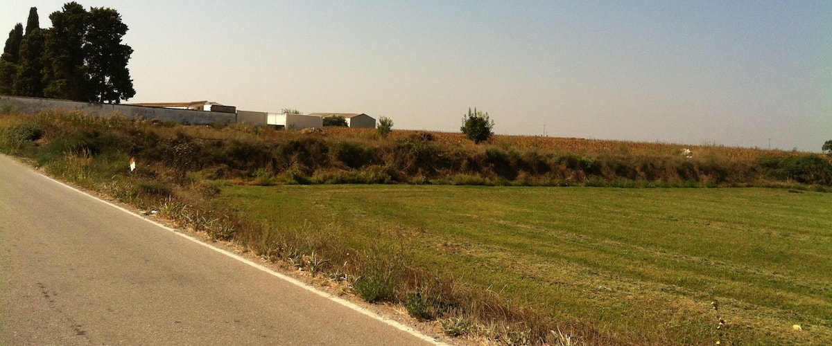 A rural road with grassy fields and a few buildings in the distance.