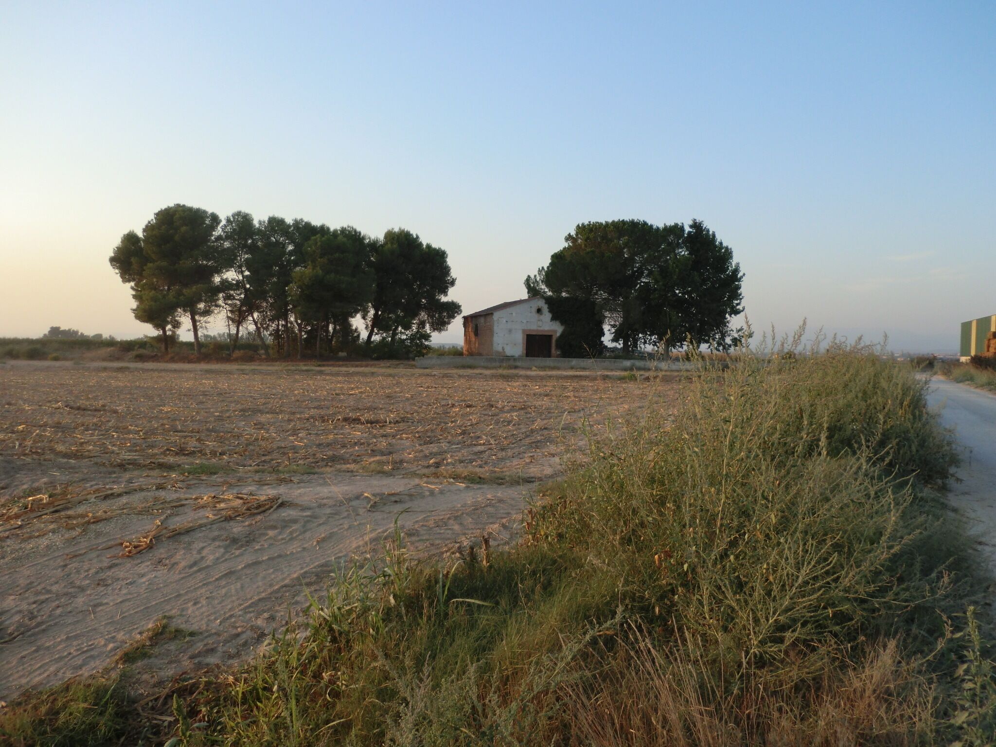 Torre Celestino (Vila-sana)