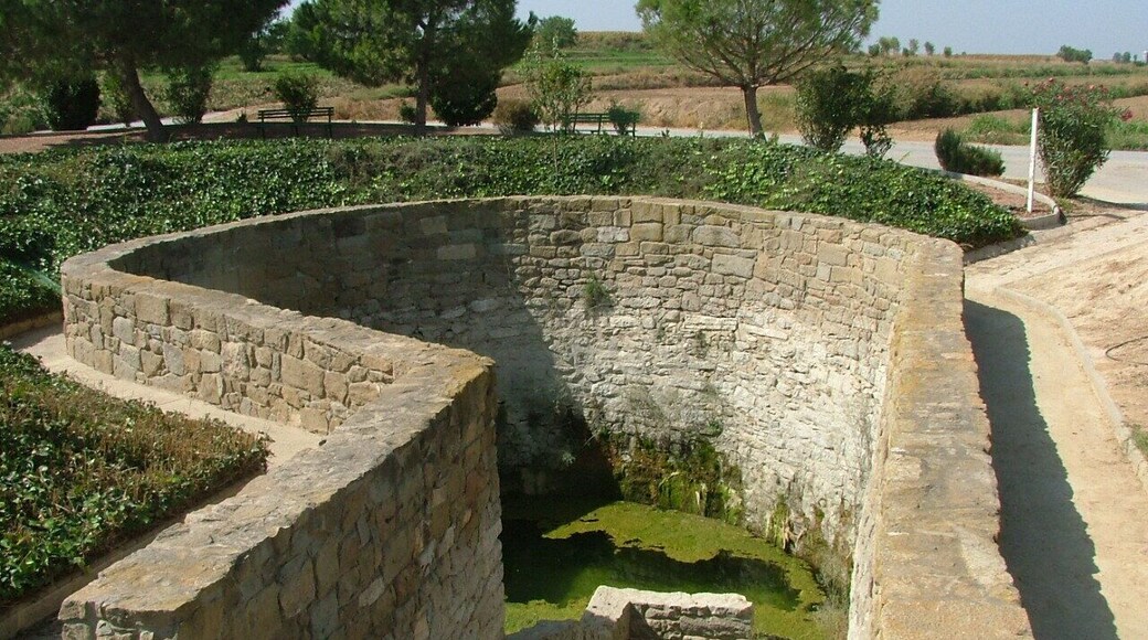 Els linyolencs van anar a buscar-hi l'aigua fins l'any 1898. Any en que es van inaugurar les fonts de davant de l'ajuntament. Aleshores la font vella fou habilitada com a rentador públic. Posteriorment, va caure en desús i fou colgada. Es va recuperar aquest patrimoni a finals dels anys 90.