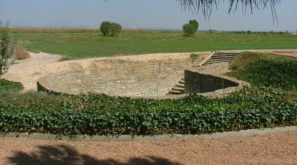 Els linyolencs van anar a buscar-hi l'aigua fins l'any 1898. Any en que es van inaugurar les fonts de davant de l'ajuntament. Aleshores la font vella fou habilitada com a rentador públic. Posteriorment, va caure en desús i fou colgada. Es va recuperar aquest patrimoni a finals dels anys 90.