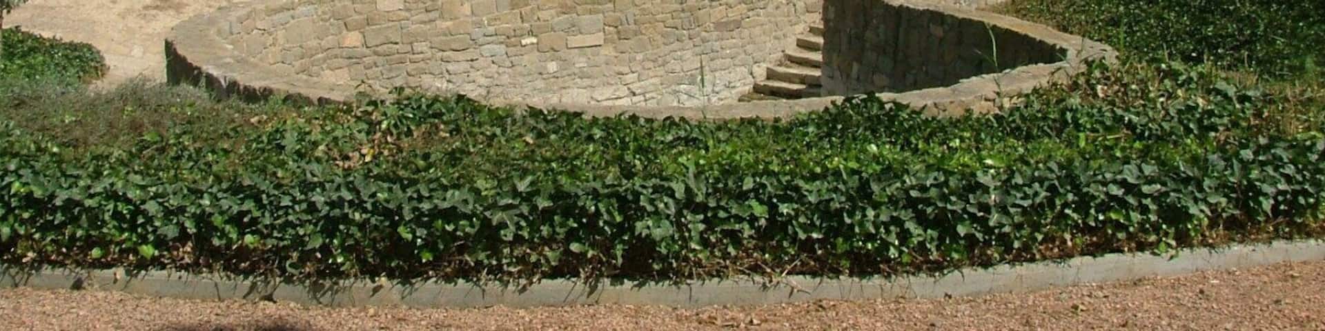 Els linyolencs van anar a buscar-hi l'aigua fins l'any 1898. Any en que es van inaugurar les fonts de davant de l'ajuntament. Aleshores la font vella fou habilitada com a rentador públic. Posteriorment, va caure en desús i fou colgada. Es va recuperar aquest patrimoni a finals dels anys 90.