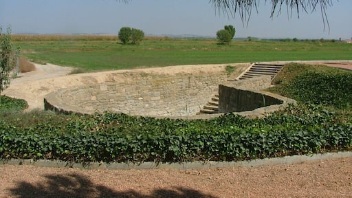 Els linyolencs van anar a buscar-hi l'aigua fins l'any 1898. Any en que es van inaugurar les fonts de davant de l'ajuntament. Aleshores la font vella fou habilitada com a rentador públic. Posteriorment, va caure en desús i fou colgada. Es va recuperar aquest patrimoni a finals dels anys 90.