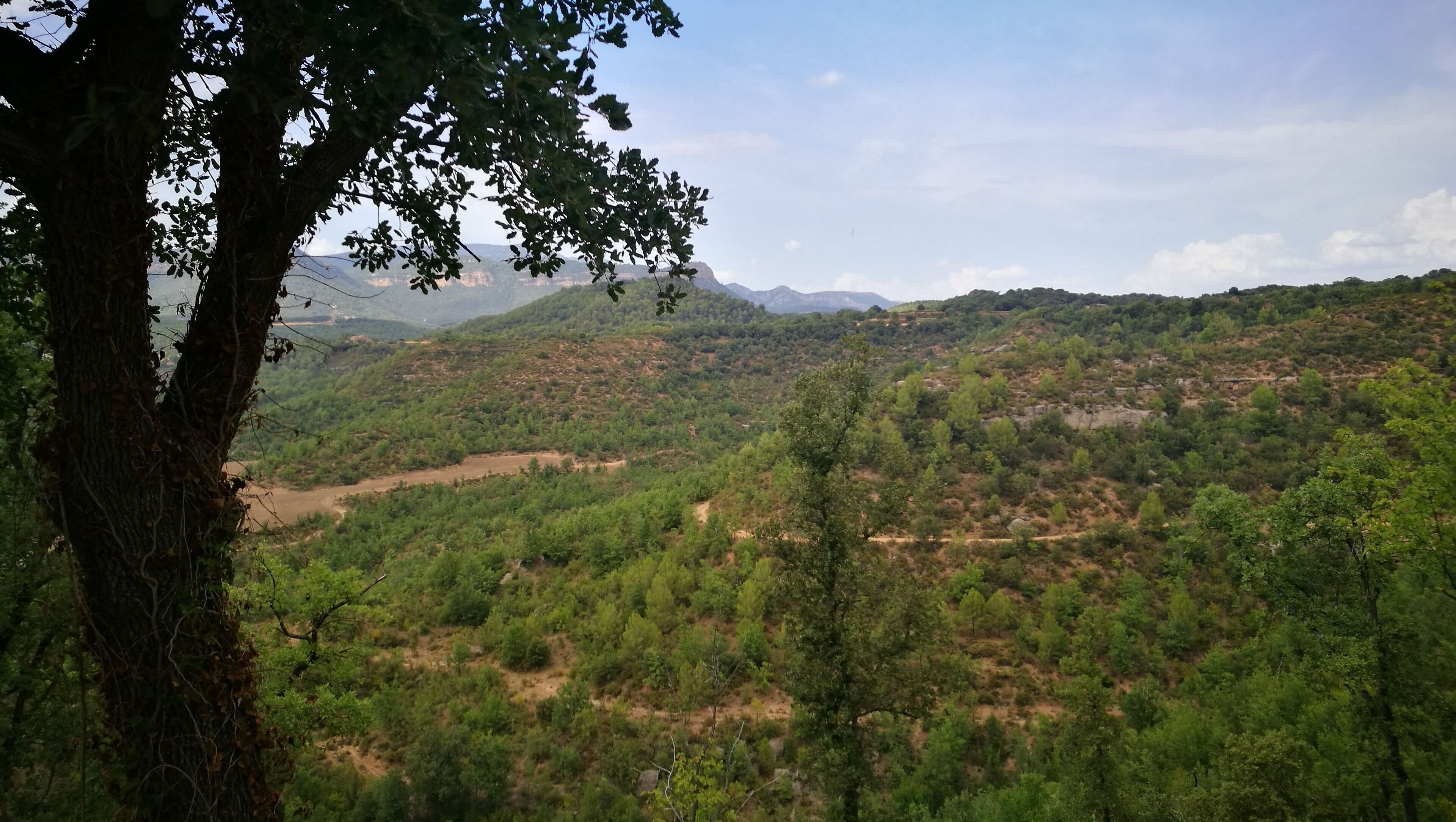 paisatge des de Montclar