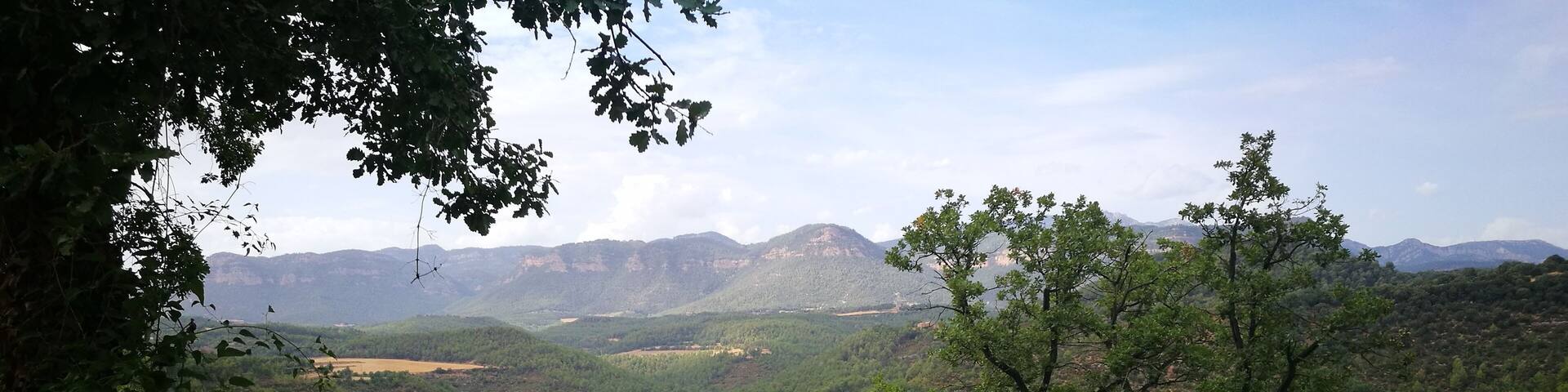 paisatge de Montclar