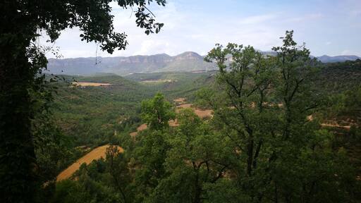 paisatge de Montclar