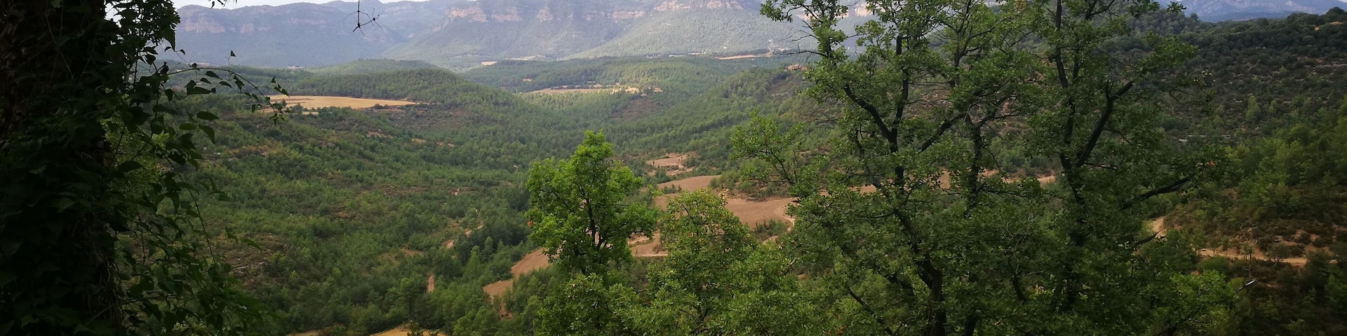 paisatge de Montclar