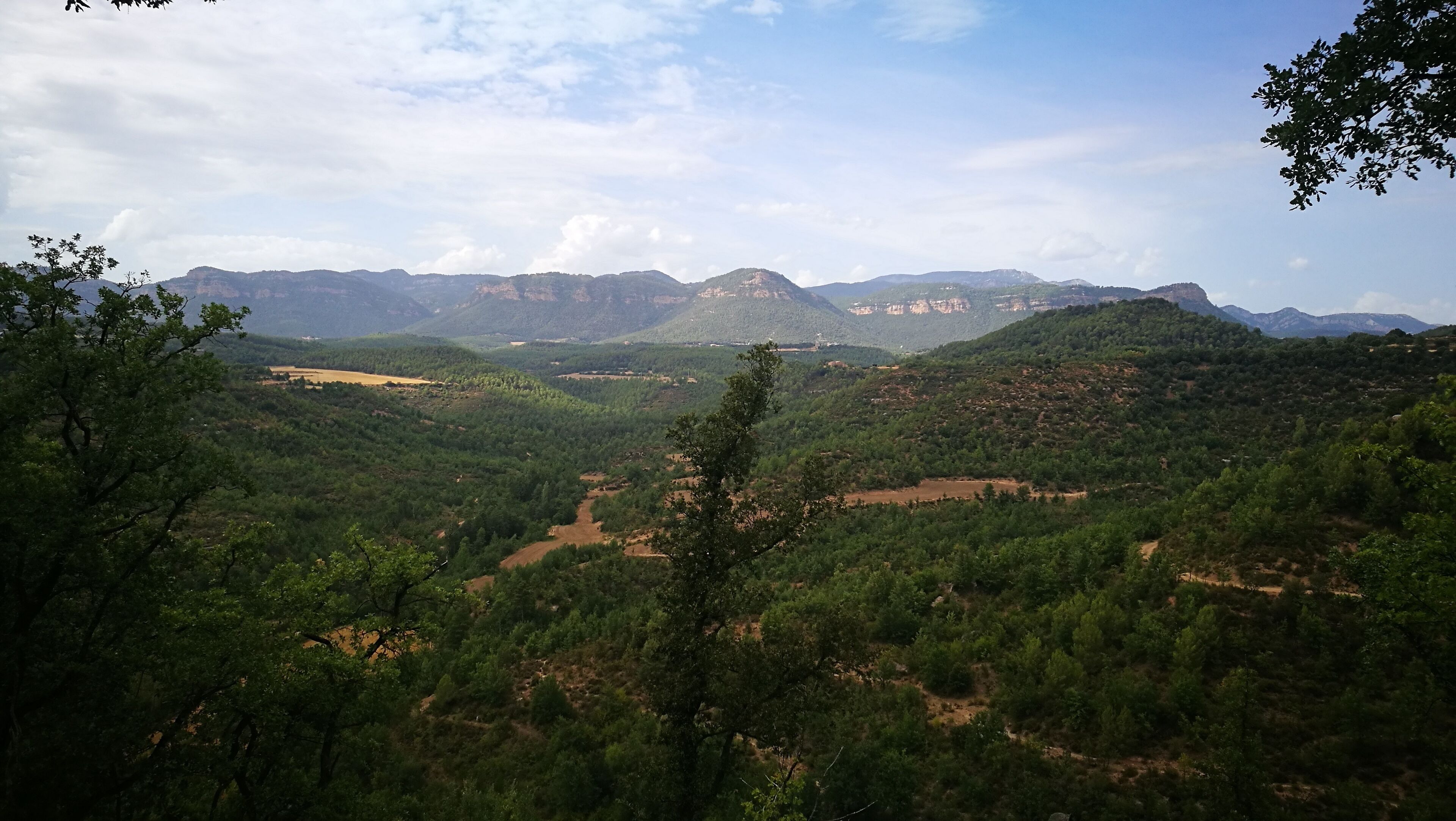 paisatge des de Sant Martí de Montclar