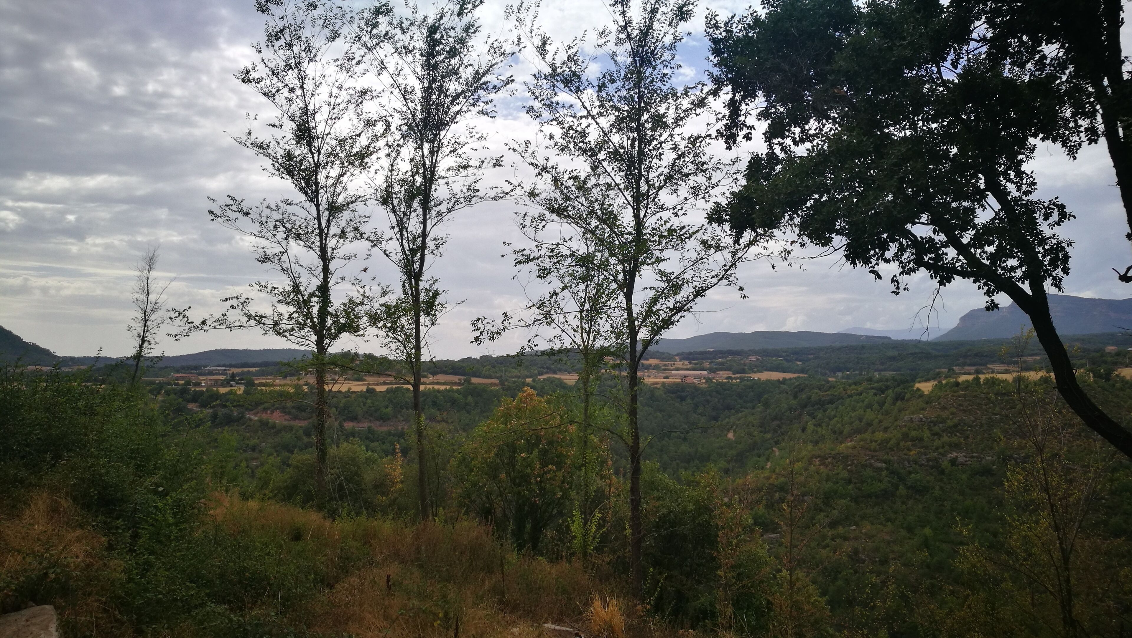 paisatge des de Montclar