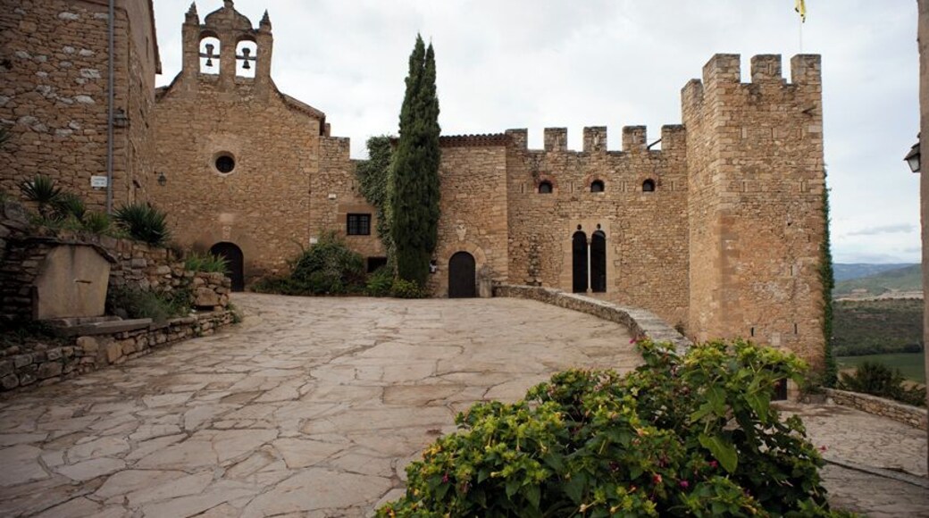 Montsonís village, and its castle. This is a photo of a monument indexed in the Catalan heritage register of Béns Culturals d'Interès Nacional and the Spanish heritage register of Bienes de Interés Cultural under the reference RI-51-0006327.