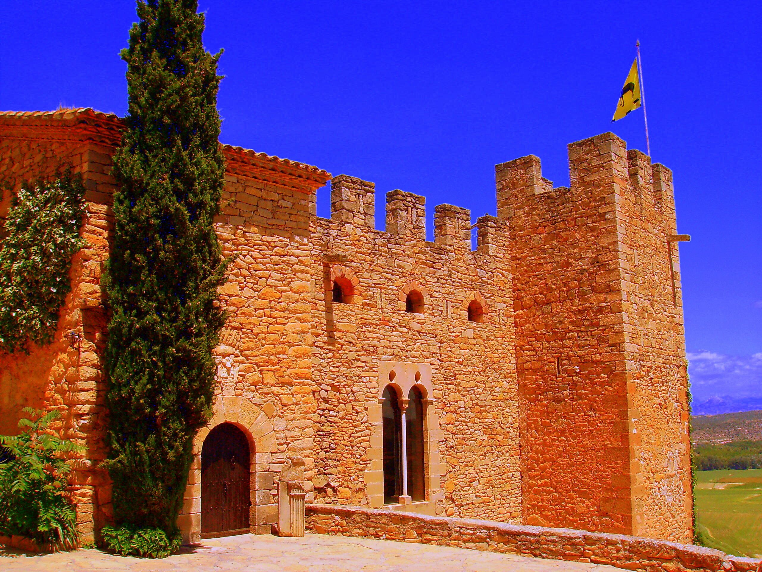 Castell de Montsonís (Foradada)