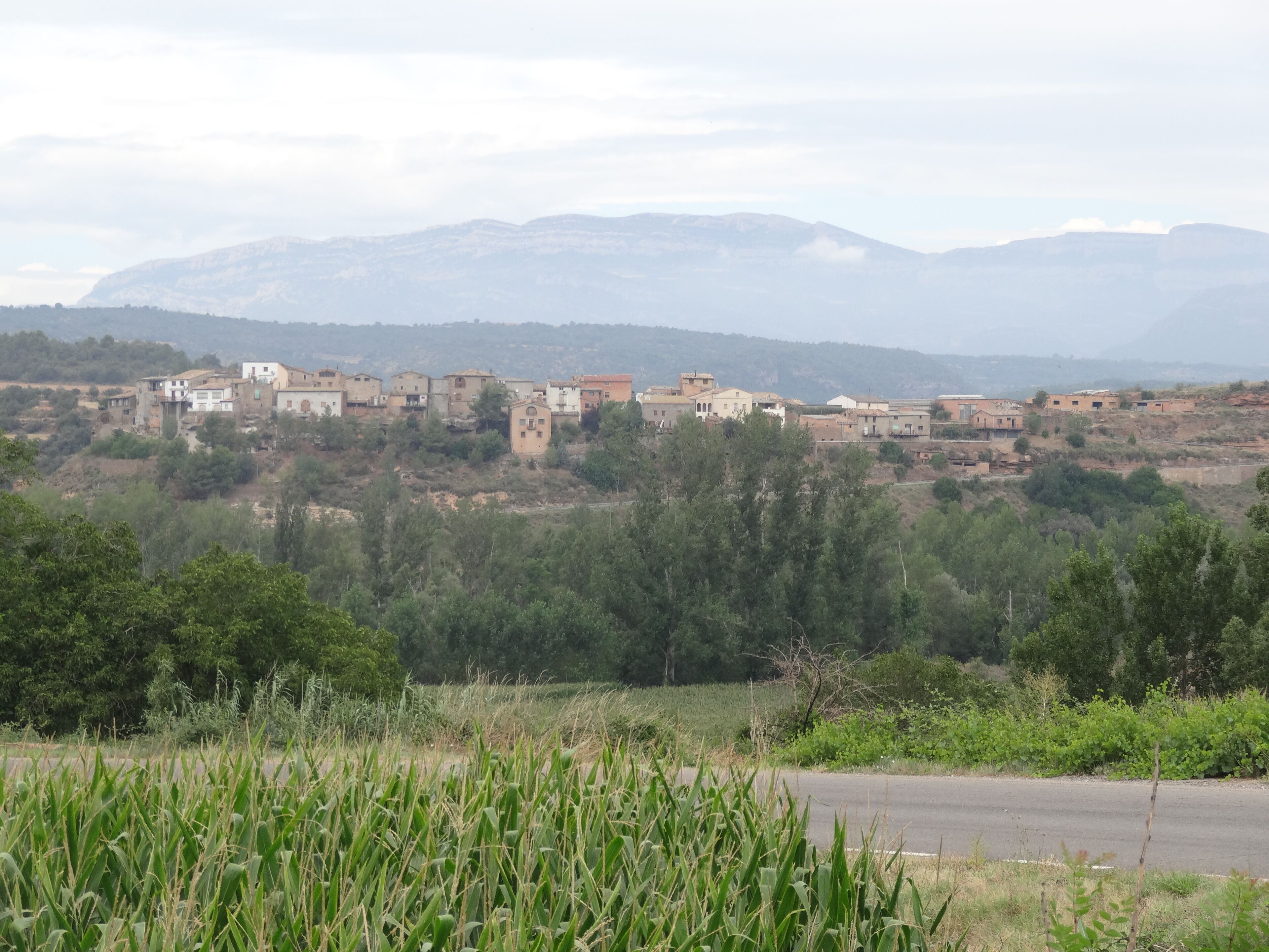 Anya (Artesa de Segre) vist des del canal d'Urgell