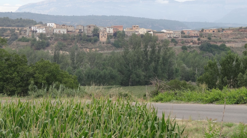 Anya (Artesa de Segre) vist des del canal d'Urgell