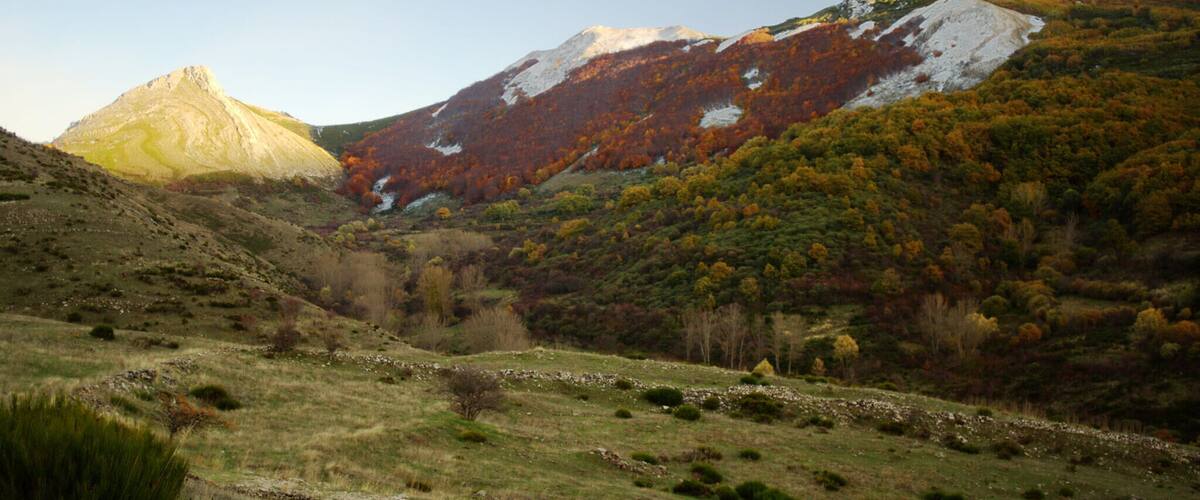 A mountainous landscape with autumn foliage, a prominent peak, and a valley.