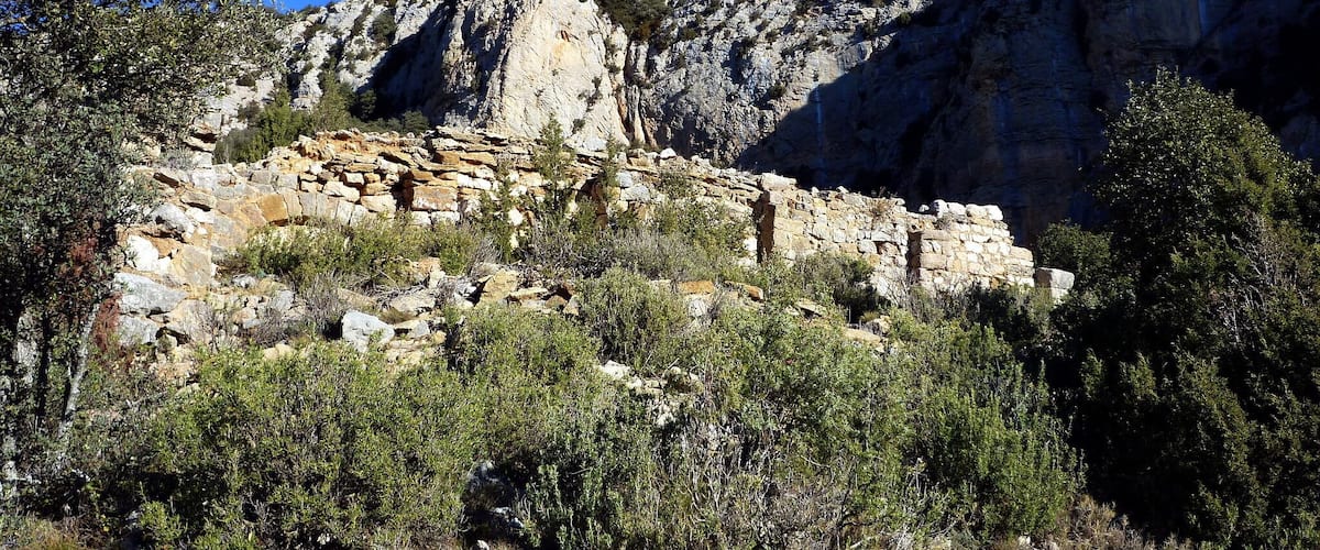 A rocky hillside with ancient ruins and dense vegetation.