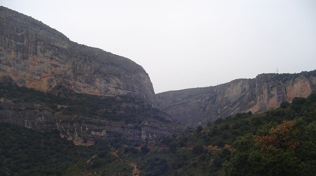 Carretera L-913 (abril 2007)