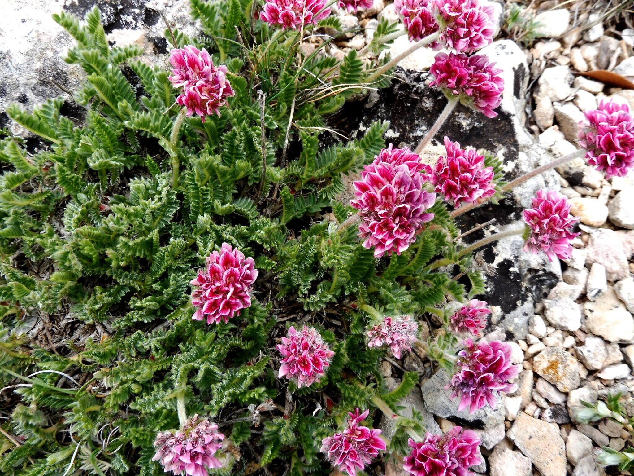 This is a a photo of a natural area in Catalonia, Spain, with id:
