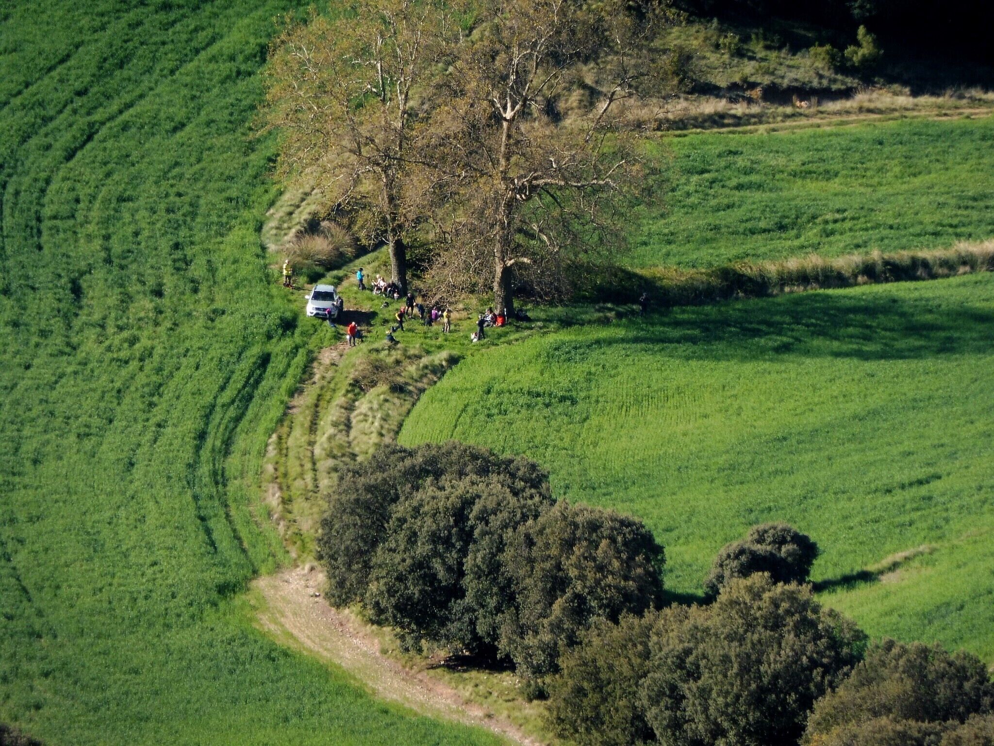 This is a a photo of a natural area in Catalonia, Spain, with id: