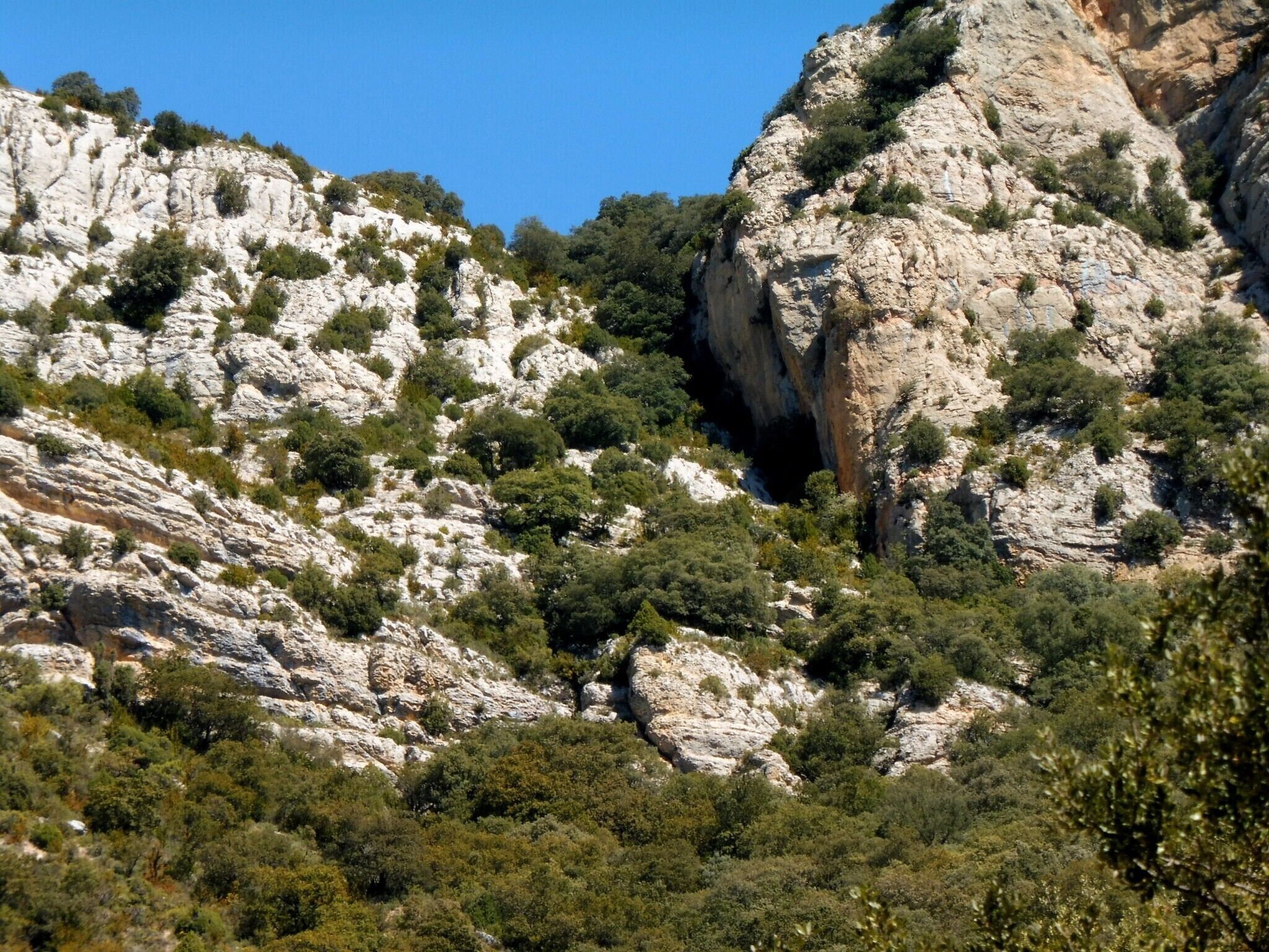 This is a a photo of a natural area in Catalonia, Spain, with id: