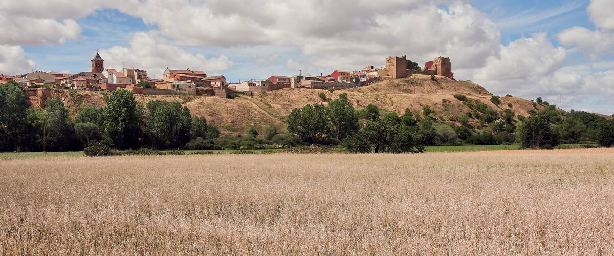 A historic town with medieval architecture, including a prominent tower and castle ruins, set against a backdrop of rolling hills and a clear sky.
