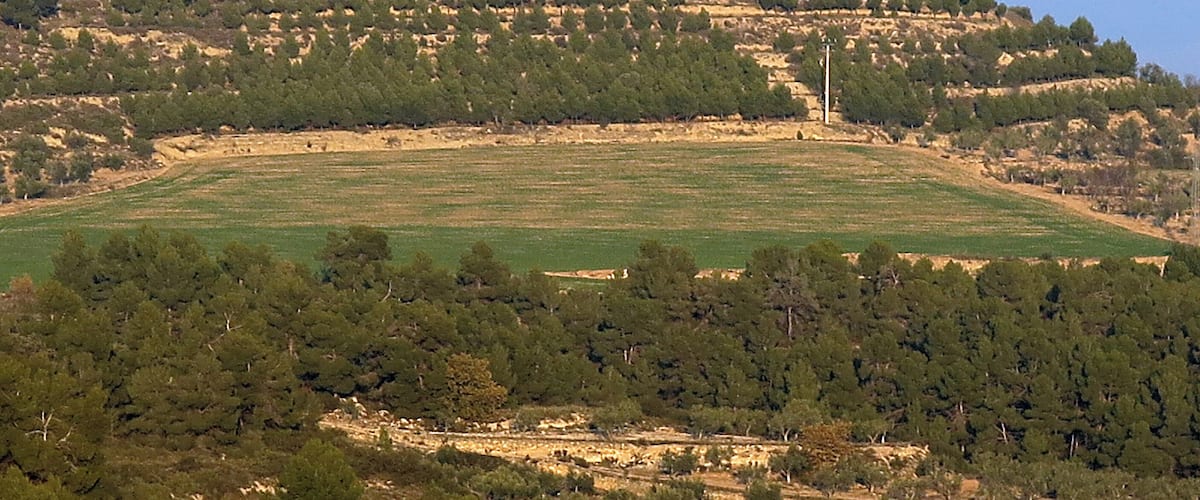 A historic building on a hilltop with a surrounding landscape of trees and fields.
