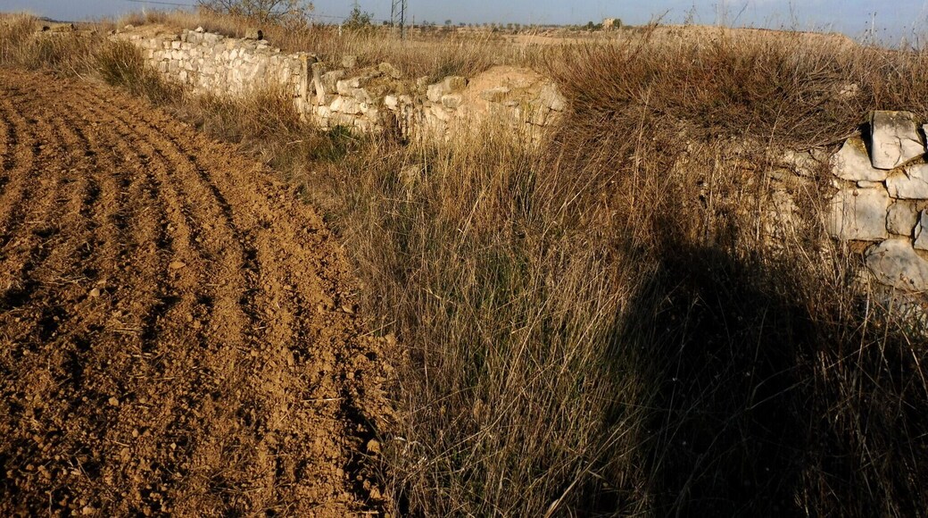 Molí del Nicasi (Verdú), paret d ela bassa. This is a photo of a building indexed in the Catalan heritage register as Bé Cultural d'Interès Local (BCIL) under the reference IPA-30177.
