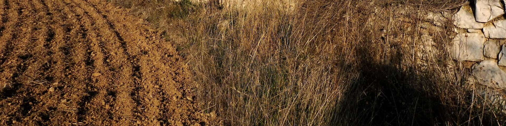 MolĂ del Nicasi (VerdĂș), paret d ela bassa. This is a photo of a building indexed in the Catalan heritage register as BĂ© Cultural d'InterĂšs Local (BCIL) under the reference IPA-30177.