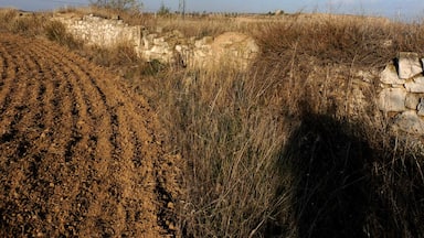 Een landelijk landschap met een stenen muur, droog gras en een elektriciteitspaal.