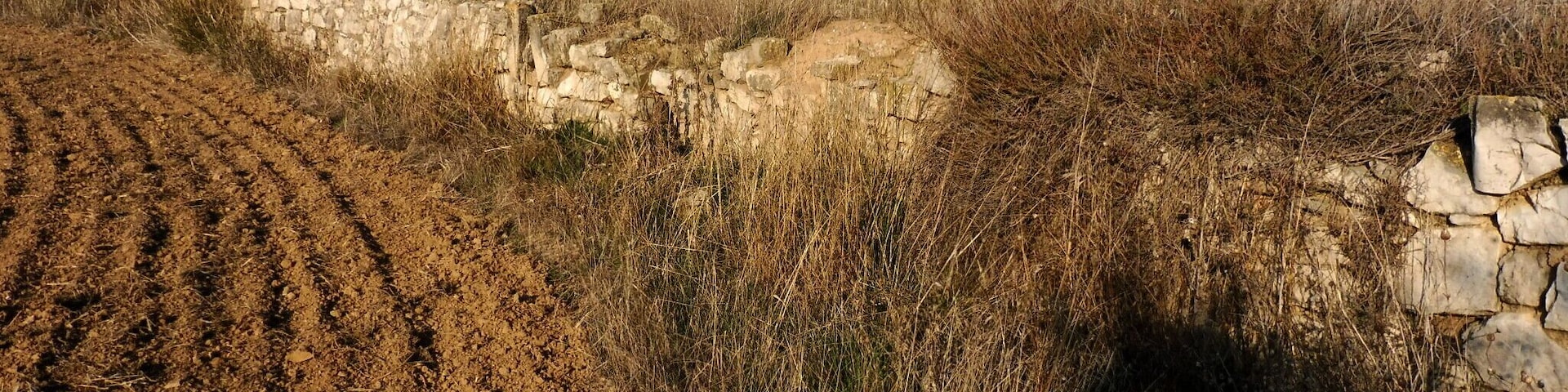 Molí del Nicasi (Verdú), paret d ela bassa. This is a photo of a building indexed in the Catalan heritage register as Bé Cultural d'Interès Local (BCIL) under the reference IPA-30177.