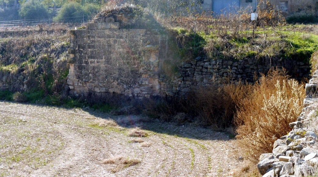 Molí del Carreton (Verdú) This is a photo of a building indexed in the Catalan heritage register as Bé Cultural d'Interès Local (BCIL) under the reference IPA-30176.