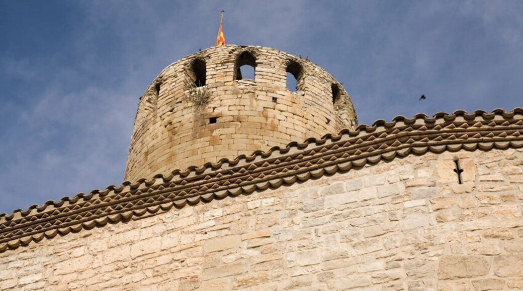 This is a photo of a monument indexed in the Catalan heritage register of Béns Culturals d'Interès Nacional and the Spanish heritage register of Bienes de Interés Cultural under the reference RI-51-0006535.