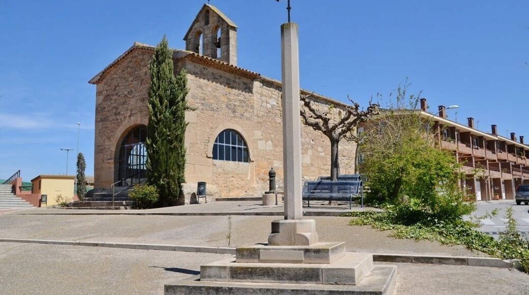 Ermita de la Mare de Déu del Roser (Vilagrassa)