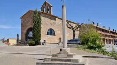 Ermita de la Mare de Déu del Roser (Vilagrassa)