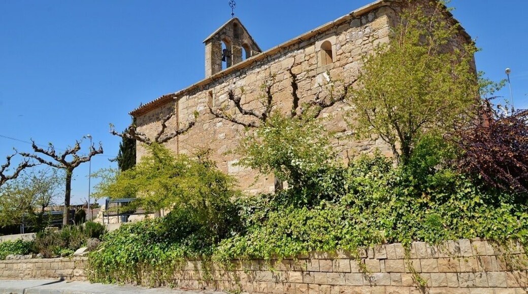 Ermita de la Mare de Déu del Roser (Vilagrassa)