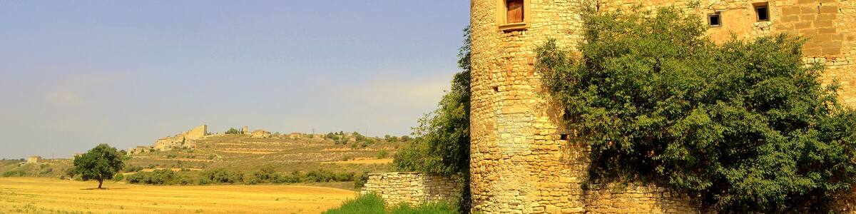 Torre Saportella (Granyanella)