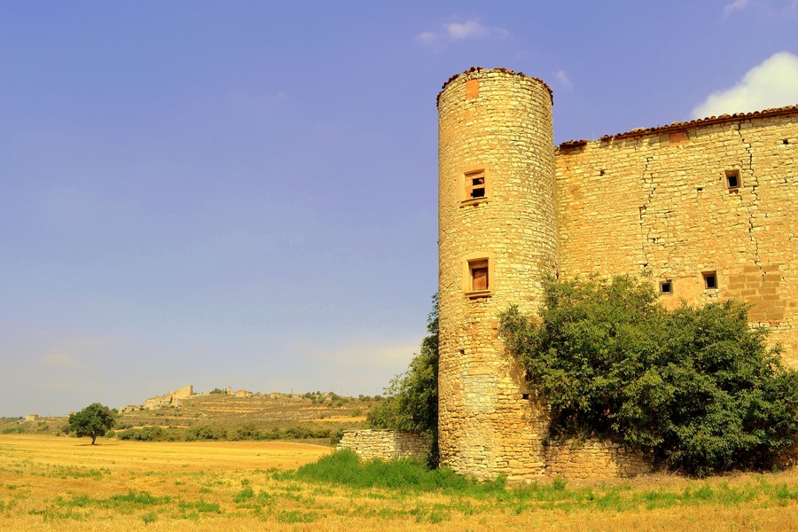 Torre Saportella (Granyanella)