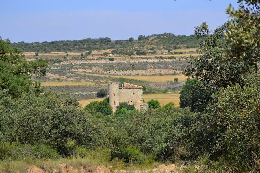 Torre Saportella (Granyanella)