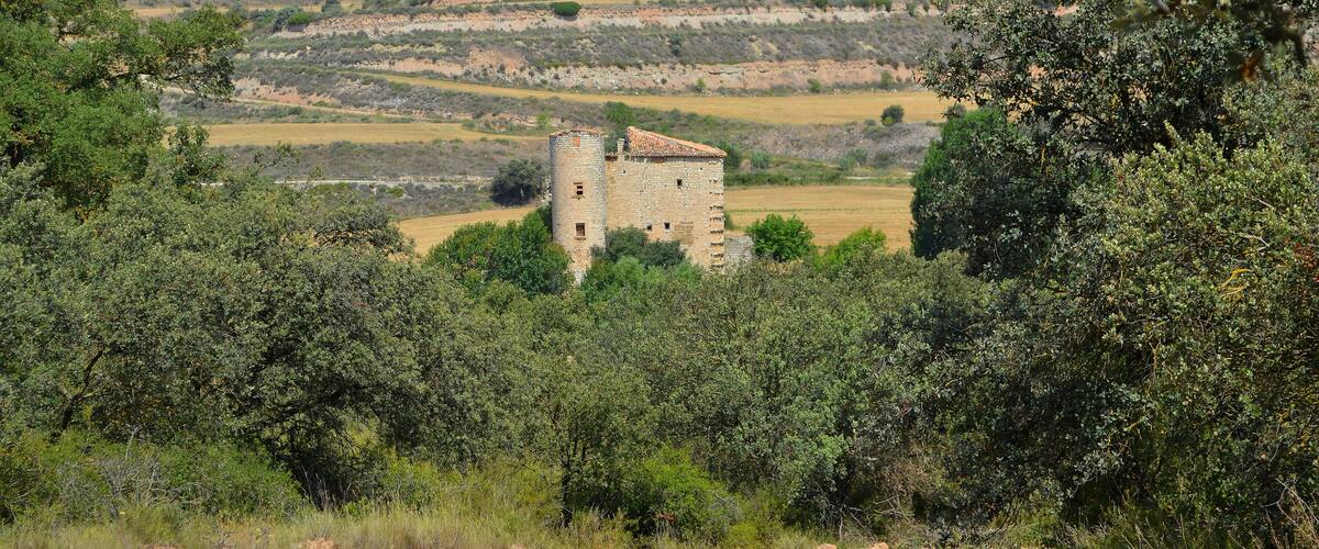 A stone tower surrounded by dense greenery and fields.