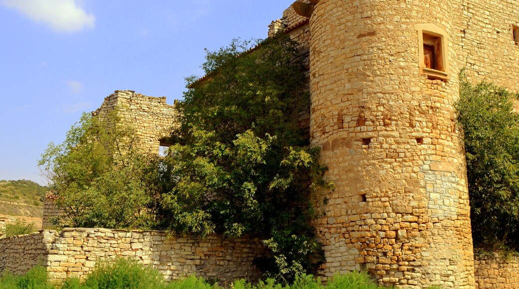 Torre Saportella (Granyanella)