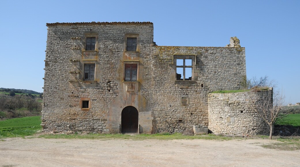De Cervera a Castellnou de Seana This is a photo of a monument indexed in the Catalan heritage register of Béns Culturals d'InterÚs Nacional and the Spanish heritage register of Bienes de Interés Cultural under the reference RI-51-0006342.