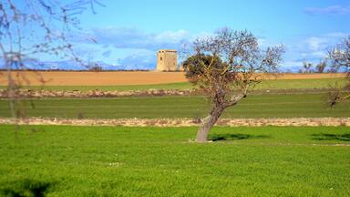 La Torre d'en Carlos (Guissona)