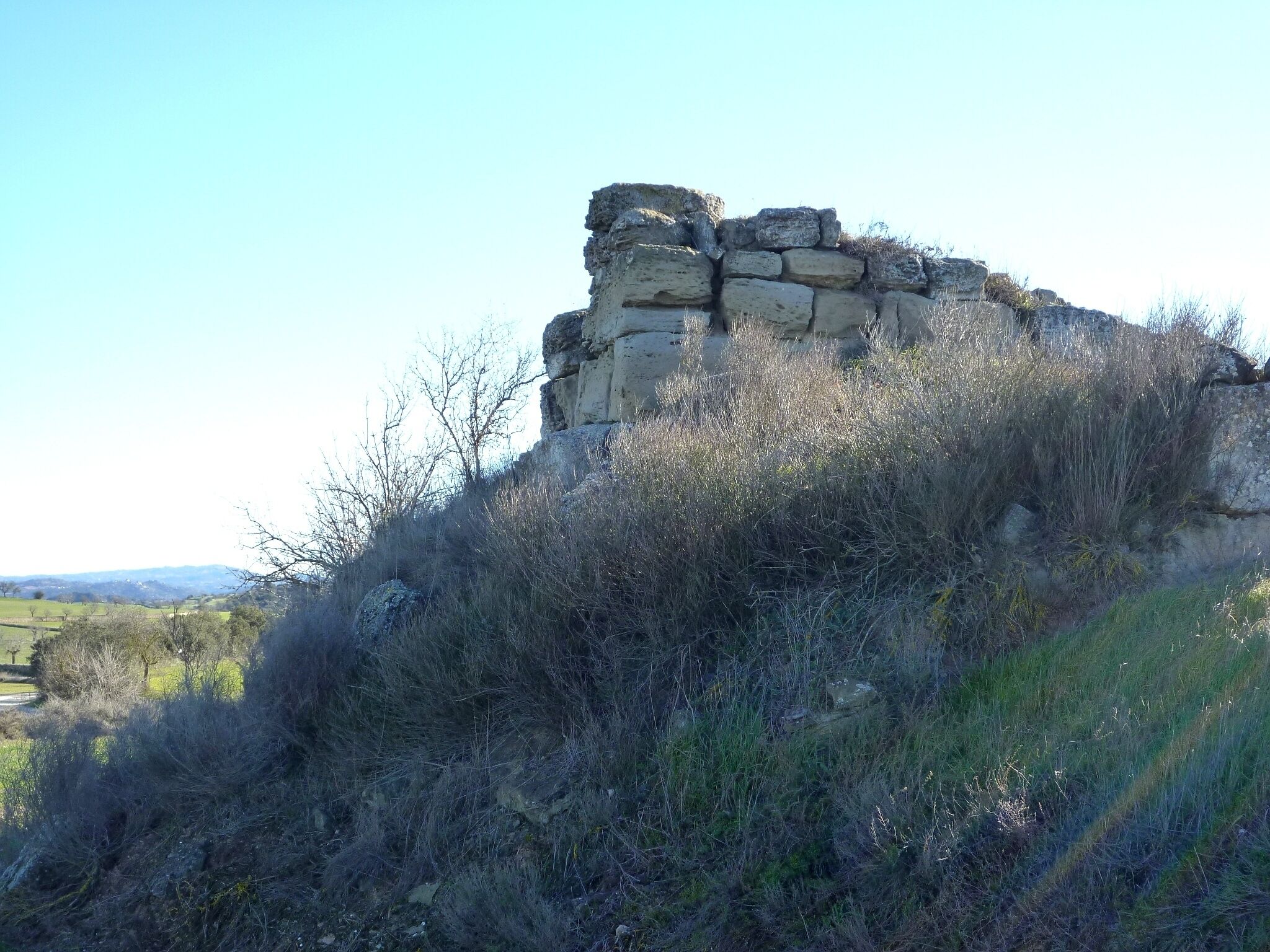 Castell de Rubiol (Guissona): restes de la façana nord