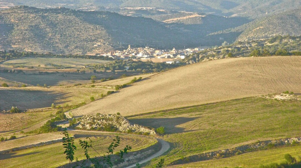 Torà des de Vicfred, a 6km