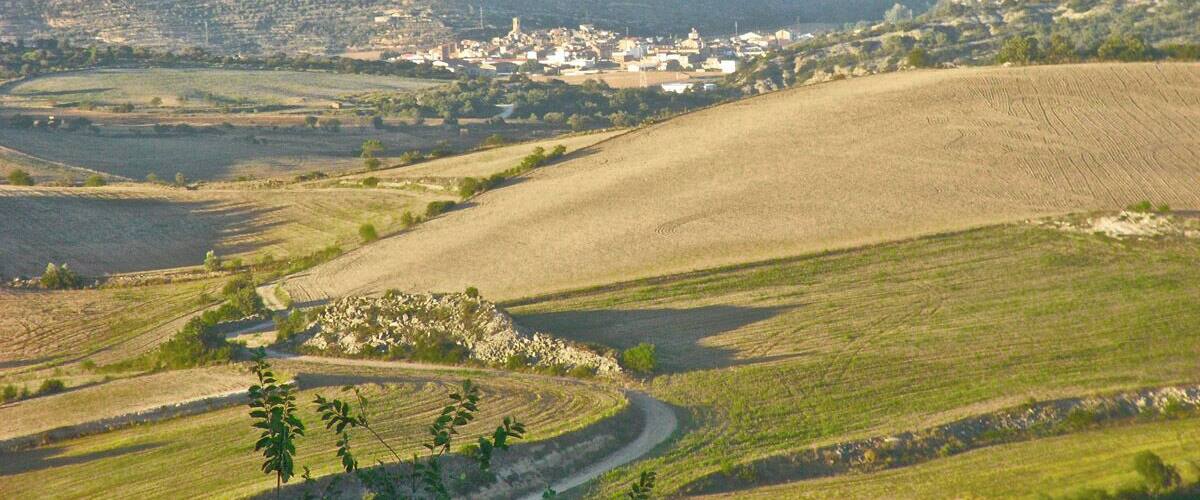 A rural landscape with rolling hills, a winding road, and a small village in the distance.