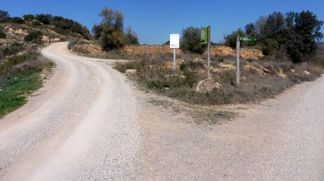 Trencall a l'esquerra que mena a Viladrosa, Viver i Pedrafita (Biosca)